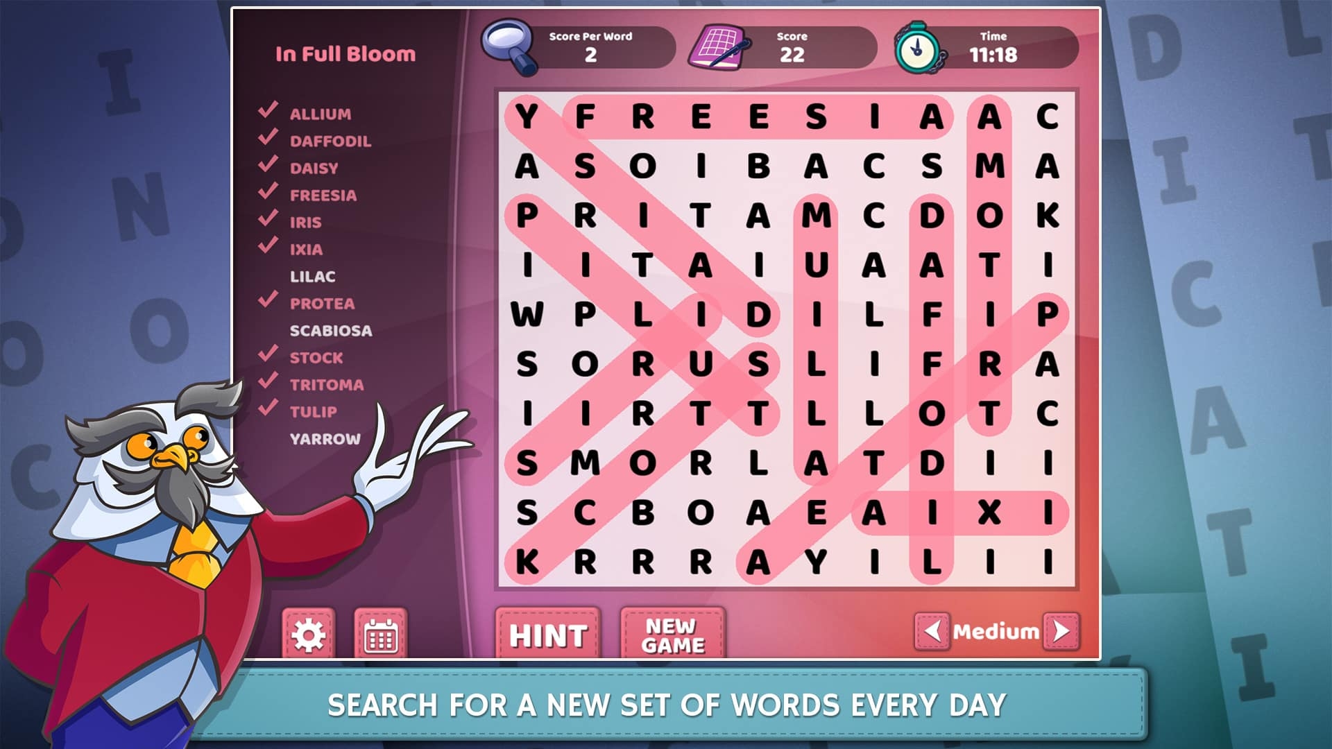 word hunt game online word hunt game online