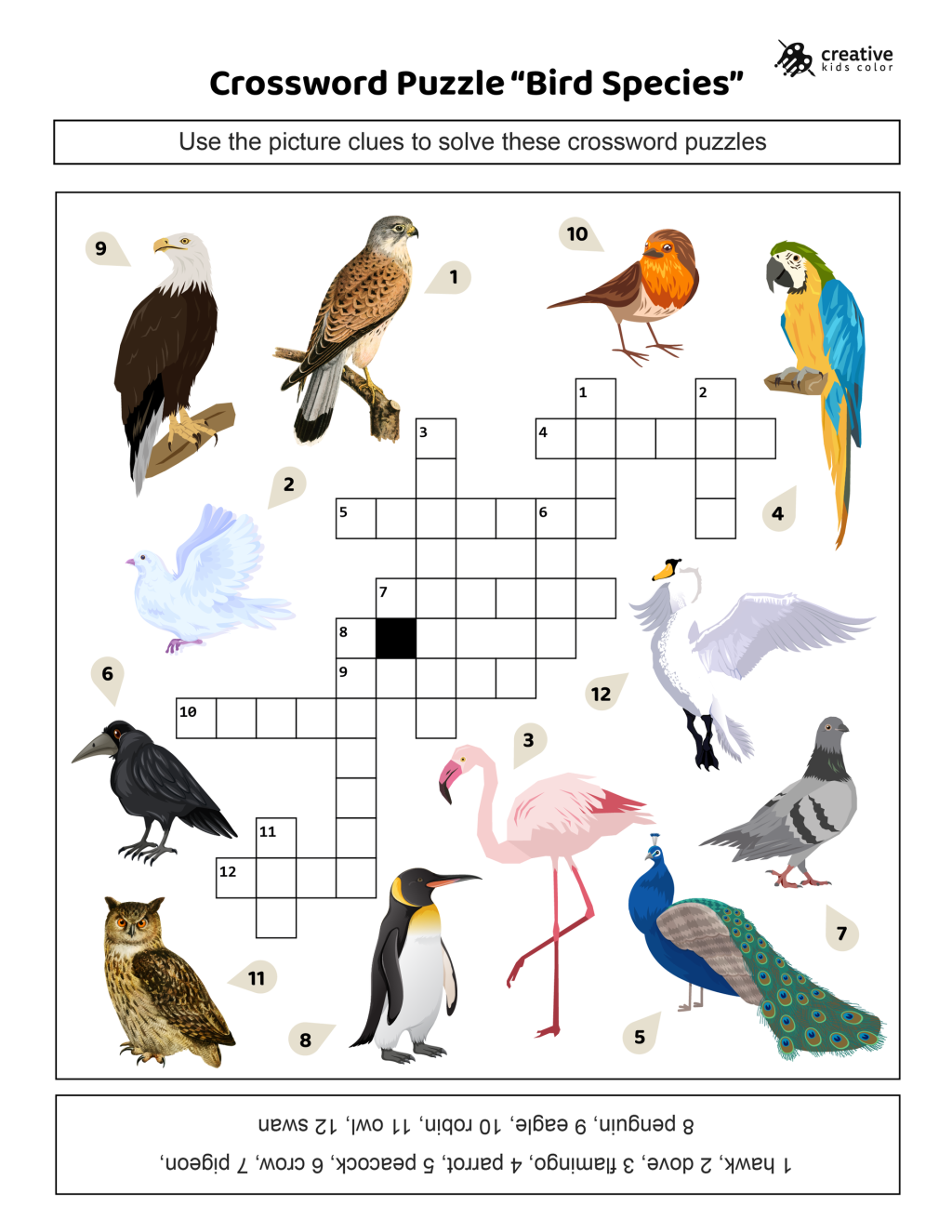 Bird Species Crossword Puzzle Free Printable PDF Bird Species Crossword Puzzle Free Printable PDF