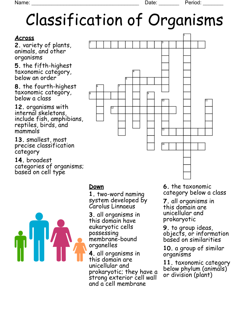 Classification Of Organisms Crossword WordMint
