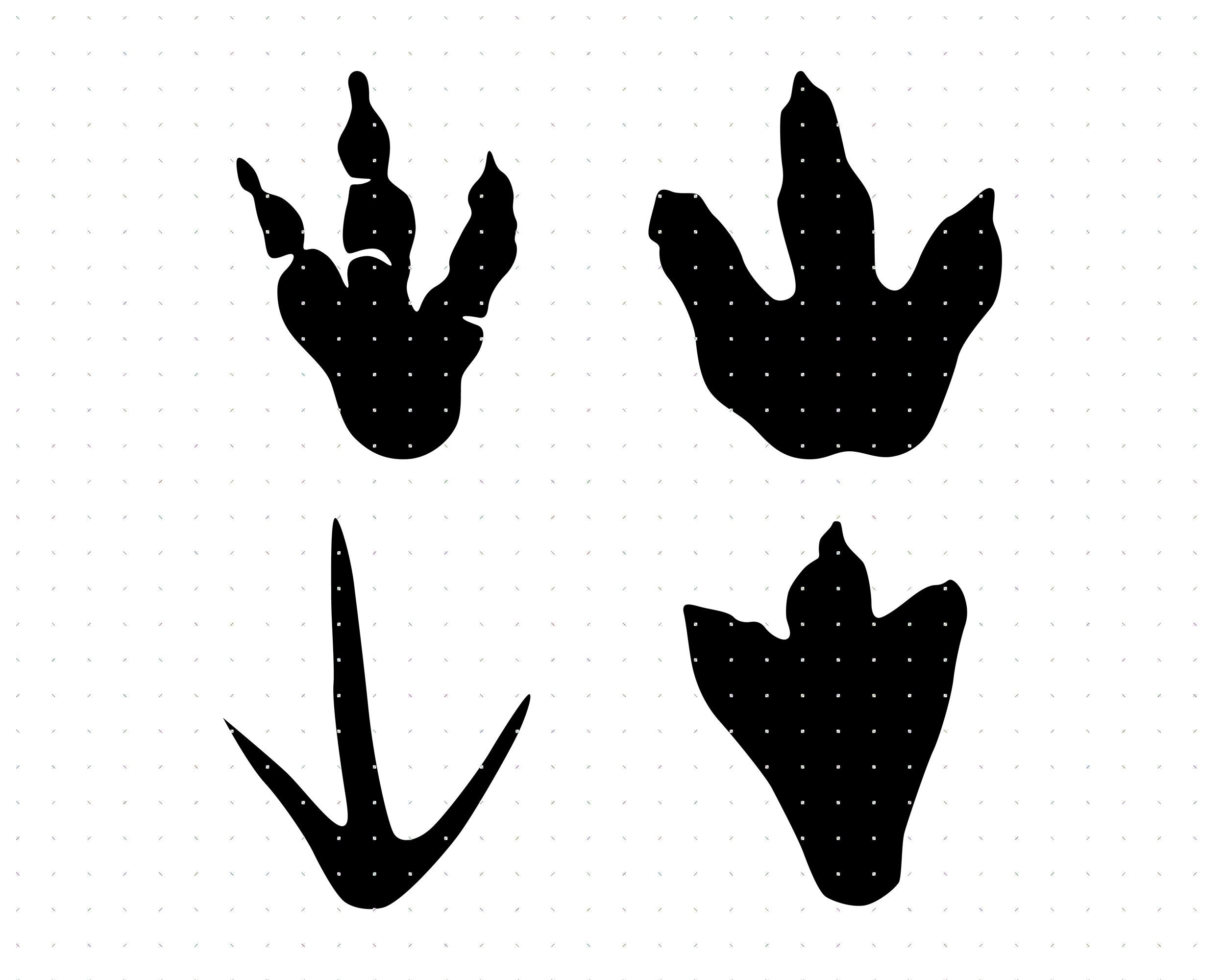 t-rex footprint printable