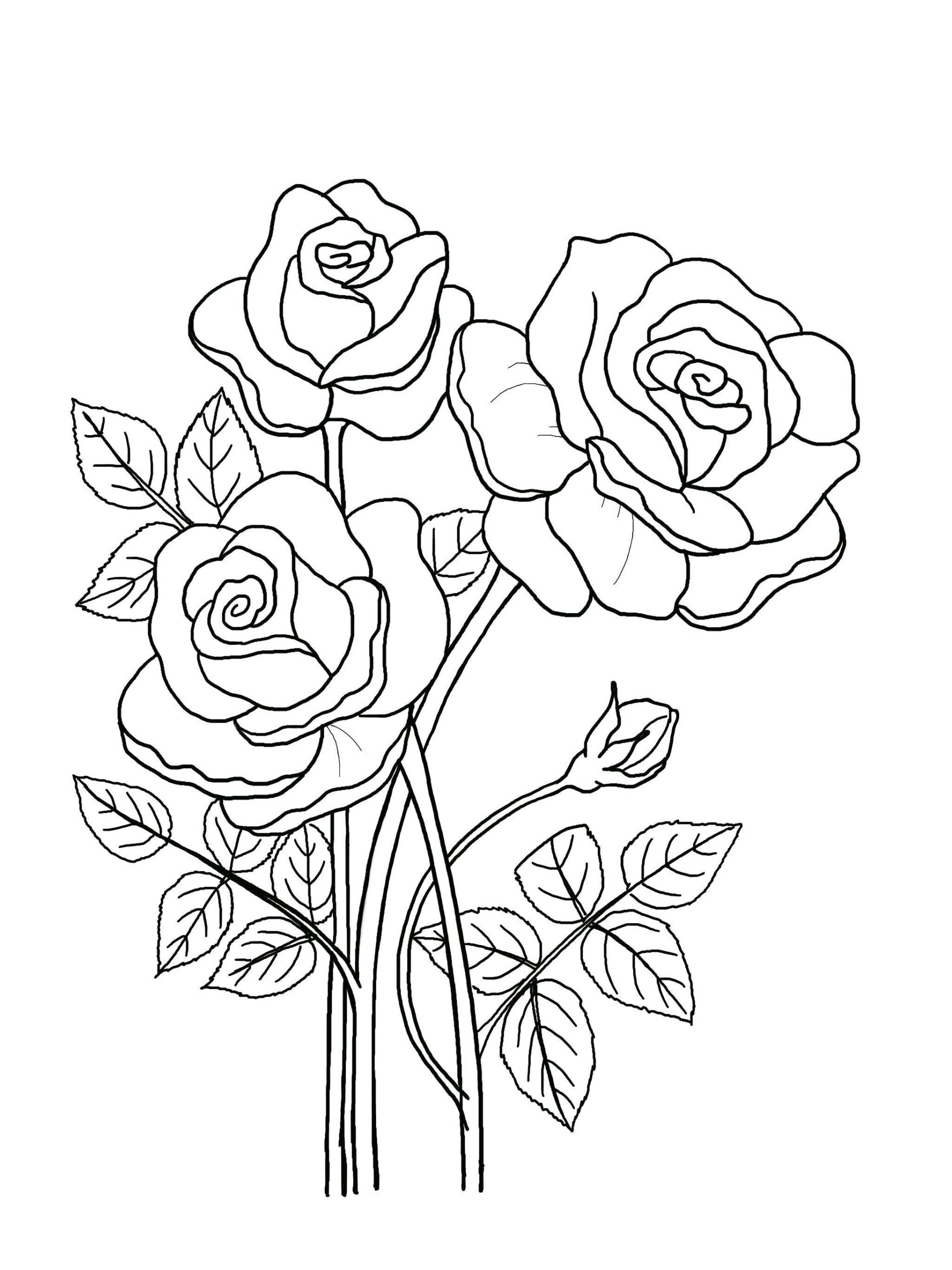 Floral Coloring Pages Hand drawn Flowers 5 page Book PDF JPG Etsy Floral Coloring Pages Hand drawn Flowers 5 page Book PDF JPG Etsy
