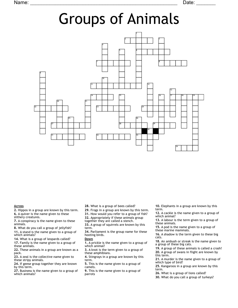 Groups Of Animals Crossword WordMint