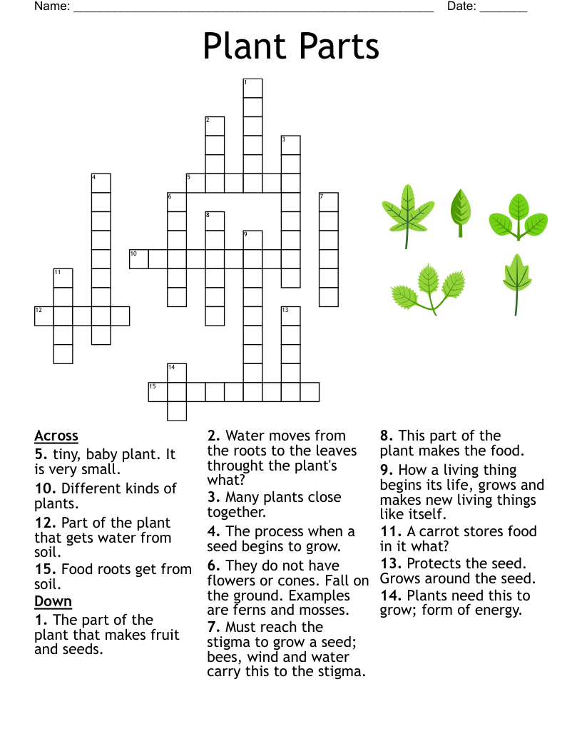 Growing Plants Crossword WordMint Growing Plants Crossword WordMint