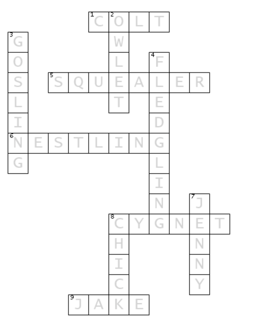 Kid s Corner Baby Bird Crossword Puzzle Bird Town Pennsylvania Kid s Corner Baby Bird Crossword Puzzle Bird Town Pennsylvania