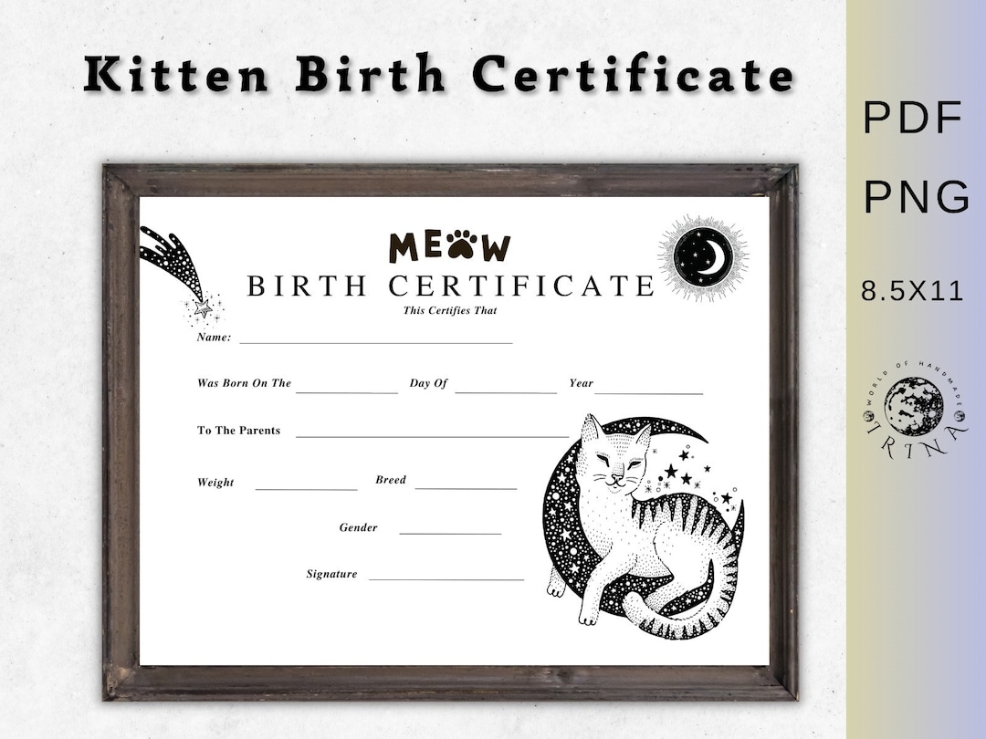 Kitten Birth Certificate Printable Cat Birth Pet Certificate cat Owner cat Lover Breeder Birth Forms Certificate Of Birth Etsy
