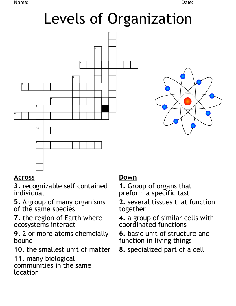 Levels Of Organization Crossword WordMint