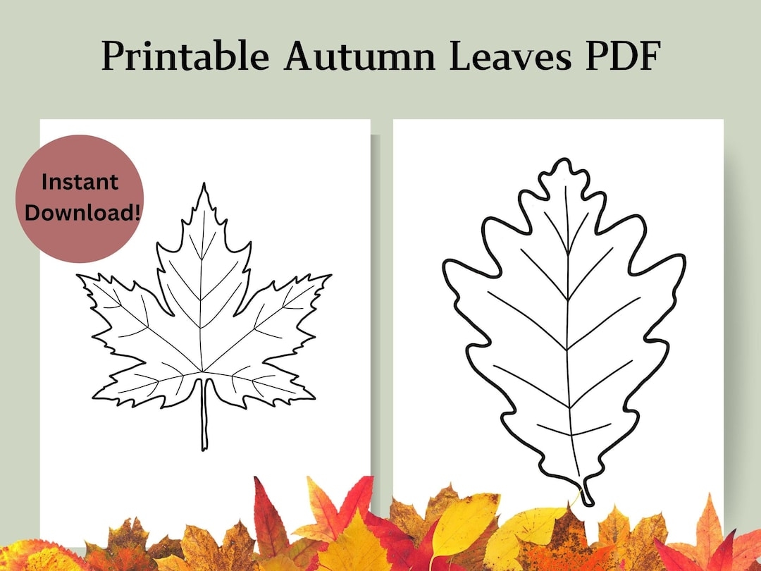 Printable Autumn Leaves PDF Fall Leaves Outlines For Crafts Coloring Classroom Projects Homeschool Autumn Crafting Templates Etsy
